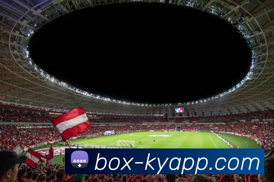 开云体育APP 封面图